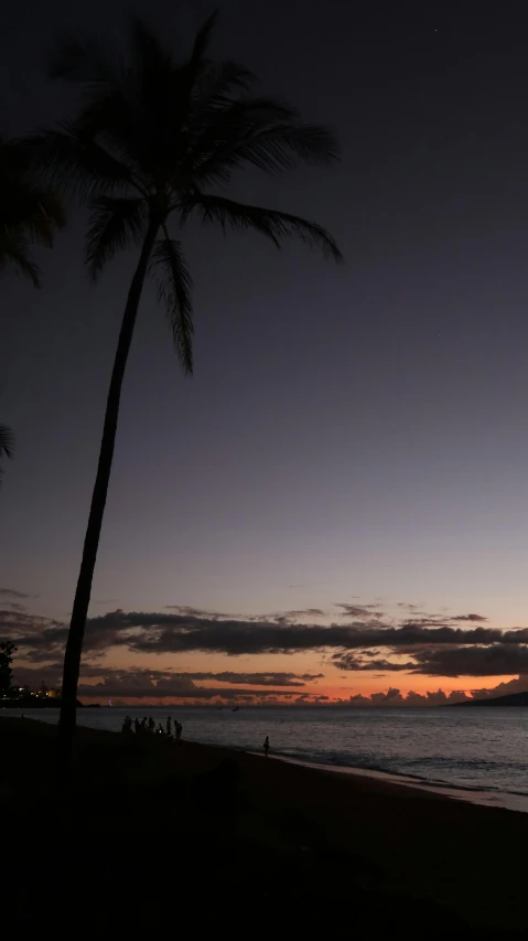 a couple of palm trees sitting on top of a beach, by Robbie Trevino, twilight ; wide shot, tall, today\'s featured photograph 4k, hawaii