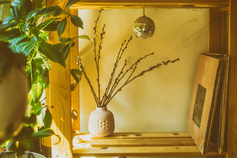 a vase sitting on top of a wooden shelf next to a mirror, inspired by Elsa Bleda, unsplash, arts and crafts movement, golden orbs and fireflies, willow plant, wooden staff, sparkling in the sunlight