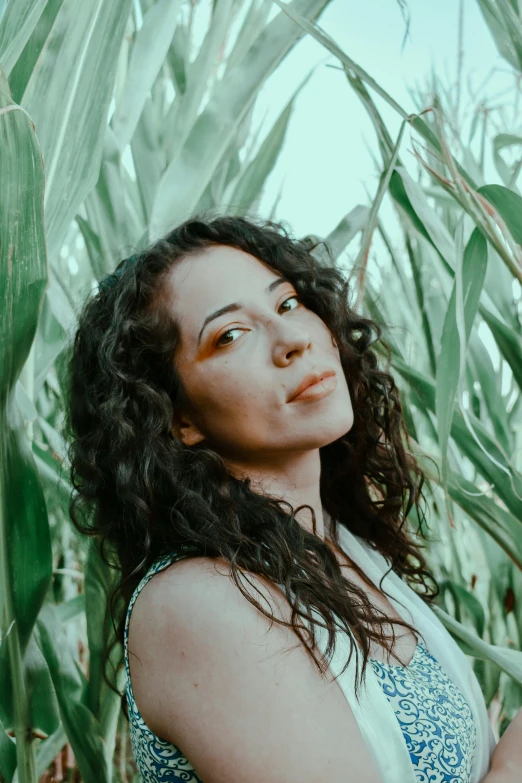 a woman standing in a field of corn, an album cover, pexels contest winner, curly dark hair, alanis guillen, sitting on a leaf, profile image