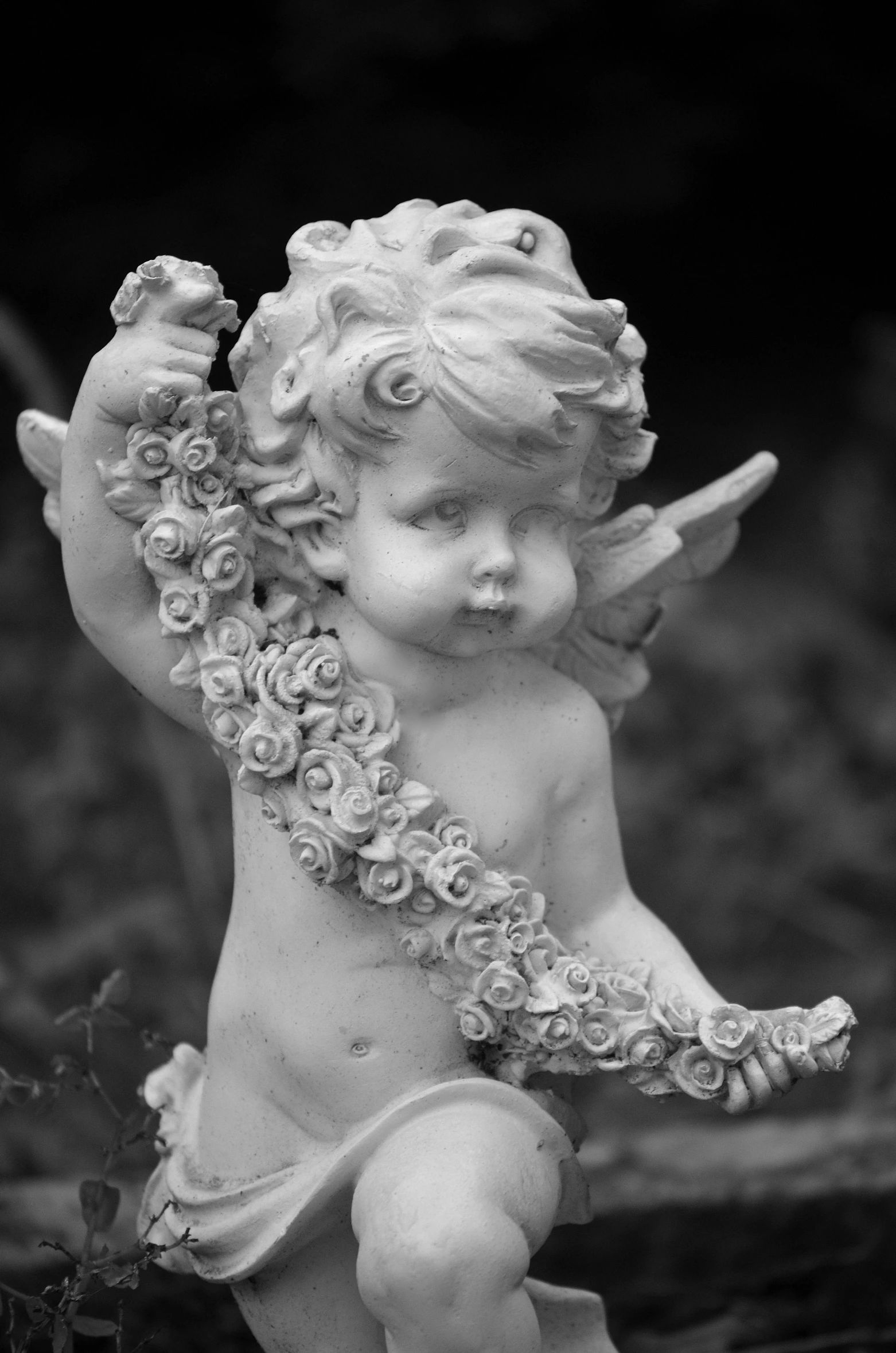 a black and white photo of a little angel, a statue, inspired by Margaret Brundage, pixabay contest winner, rococo, made of vines, rosses, closeup!!!!!!, made of marble