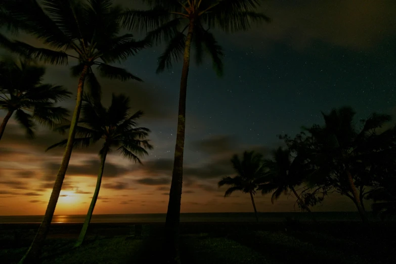 a beach at night with palm trees in the foreground, pexels contest winner, realism, night time australian outback, sun down, quixel megascans, ocean pattern and night sky