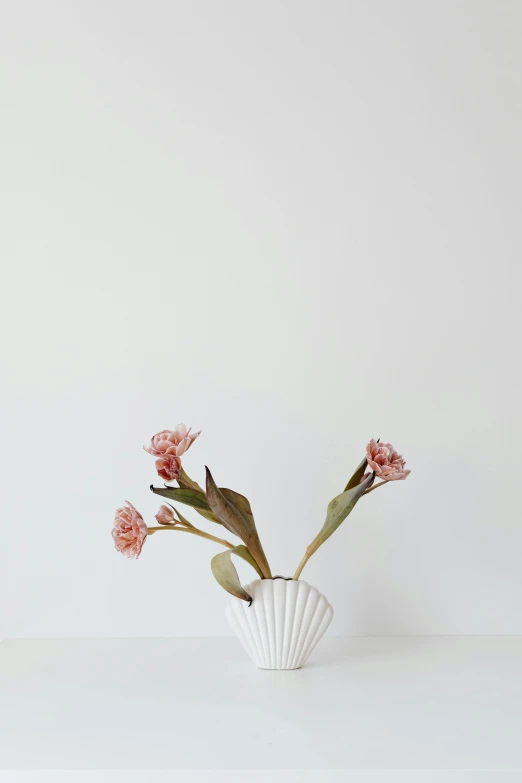 a white table topped with a vase filled with pink flowers, by Emily Shanks, minimalism, conch shell, coxcomb, white backdrop, dwell