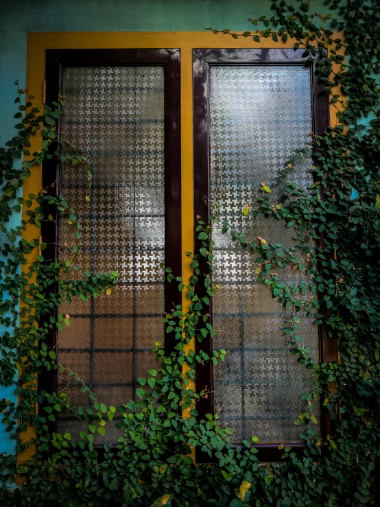 a red fire hydrant sitting in front of a window, a photo, inspired by Elsa Bleda, unsplash, art nouveau, walls are covered with vines, yellow and green, metal framed portal, cyan and green