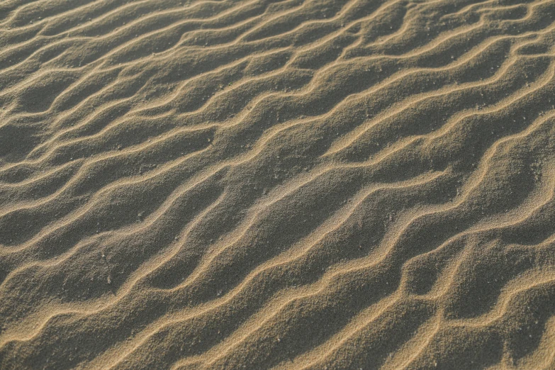 a person riding a surfboard on top of a sandy beach, a stipple, unsplash, op art, brown stubble, texture of sand, sinuous, brown mud