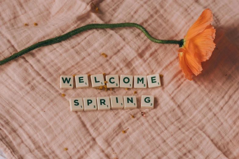 the word welcome spring spelled in scrabbles next to an orange flower, a cross stitch, by Carey Morris, trending on unsplash, happening, vhs, pink, sprouting, made of dried flowers