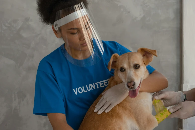 a woman in a blue shirt holding a brown dog, pexels contest winner, wearing hi vis clothing, avatar image, covered in bandages, gauze