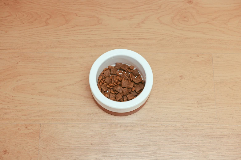 a bowl of dog food on a wooden table, by Gavin Hamilton, low quality photo, gradient brown to white, detailed product image, image