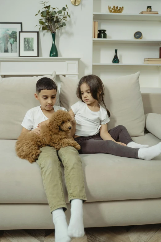 a couple of kids sitting on a couch with a dog, concern, connectivity, plush furnishings, brown