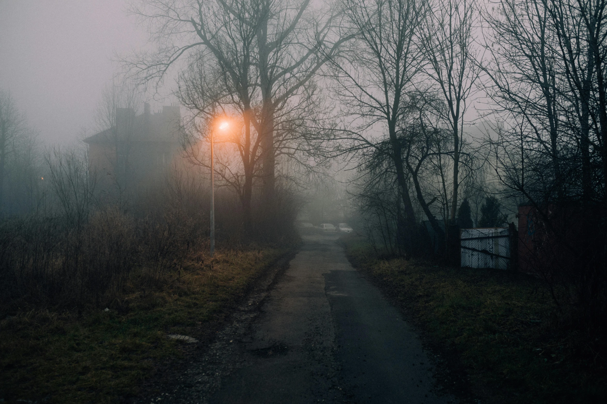 a street light sitting on the side of a road, inspired by Elsa Bleda, pexels contest winner, foggy dark graveyard, abandoned town, instagram picture, light grey mist