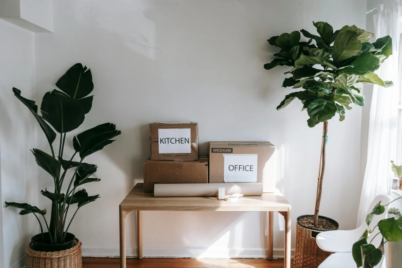 a wooden table topped with boxes next to a potted plant, background image, inventory item, low ceiling, moving