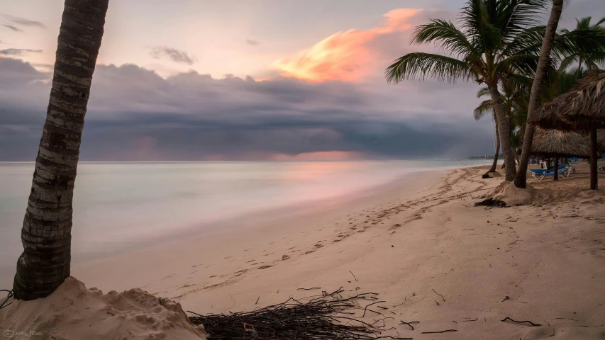 a couple of palm trees sitting on top of a sandy beach, unsplash contest winner, pink storm clouds, rum, calm evening, jamaica