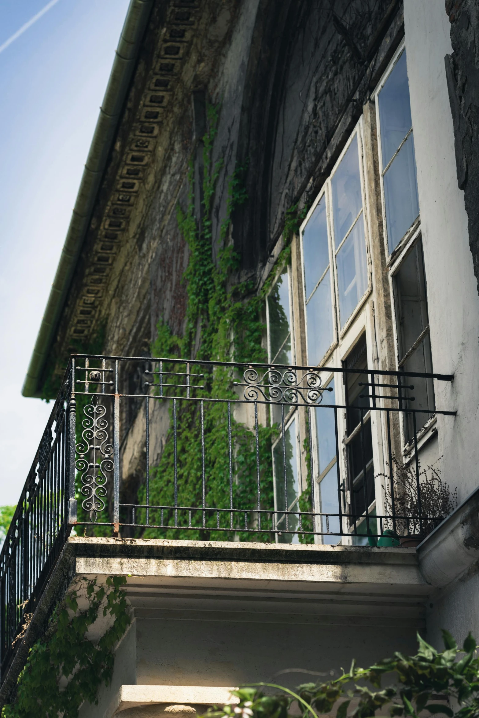 a clock that is on the side of a building, covered in vines, balcony, viewed from a distance, iron railing