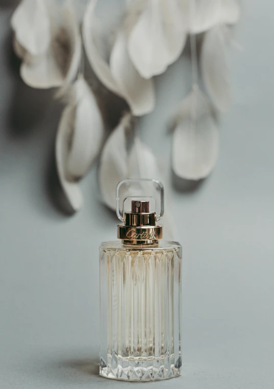 a bottle of perfume sitting on top of a table, a picture, subtle gold accents, product image, small, detail shot