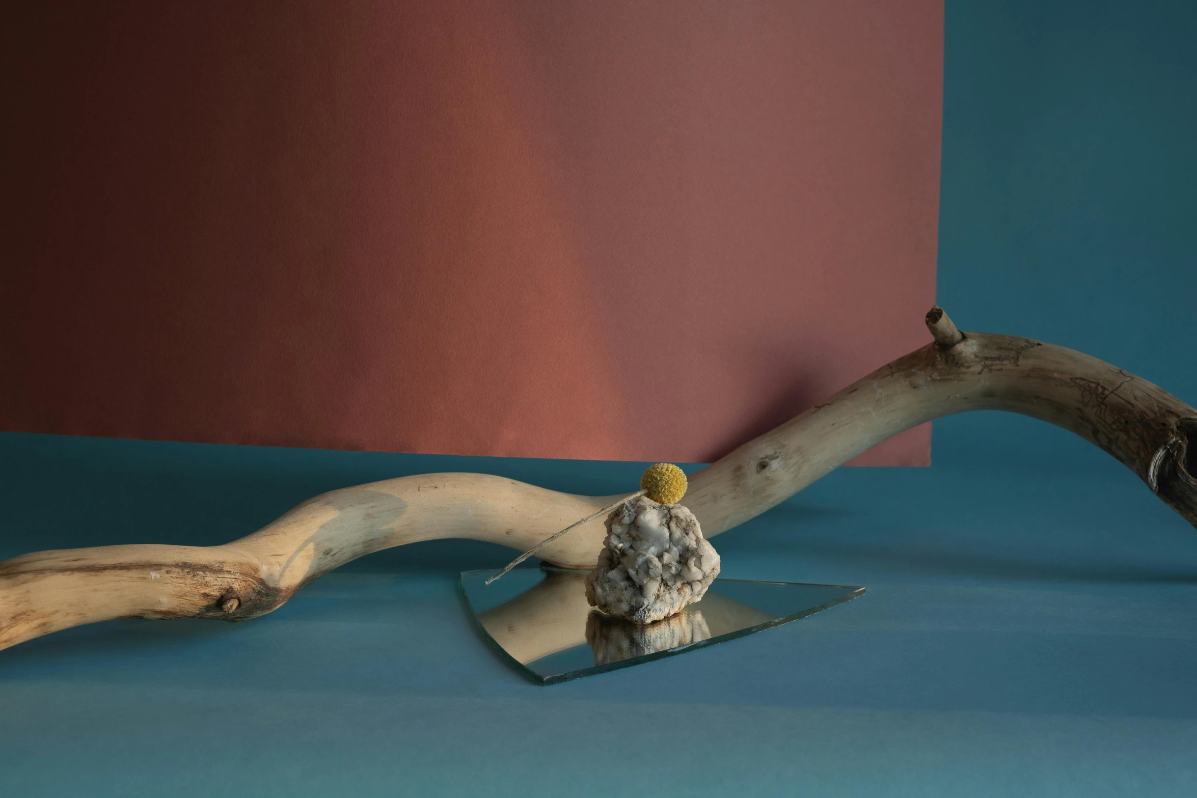 a piece of wood sitting on top of a table, a surrealist sculpture, inspired by Konstantinas Ciurlionis, unsplash, seaweed and bubles, holding scimitar made of bone, photographed on colour film, single object scene