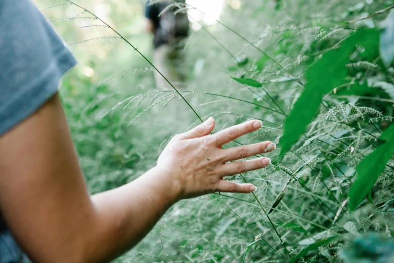 a person reaching for a plant with a dog in the background, by Caroline Mytinger, unsplash, naturalism, forest picnic, long thick grass, close up of lain iwakura, thumbnail
