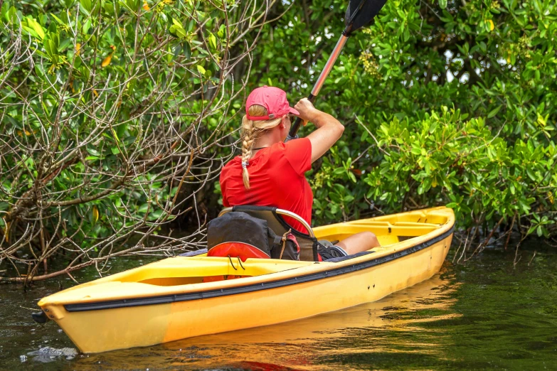 a woman in a red shirt paddling a yellow canoe, by Pamela Drew, shutterstock, mangrove trees, splash image, full frame image, profile image