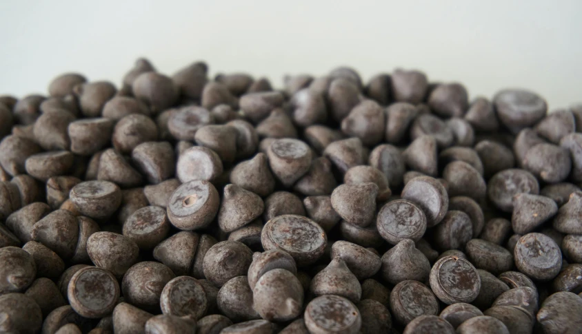 a pile of chocolate chips sitting on top of a table, a digital rendering, by Alison Watt, unsplash, process art, short light grey whiskers, resin coated, solid grey, looking towards camera