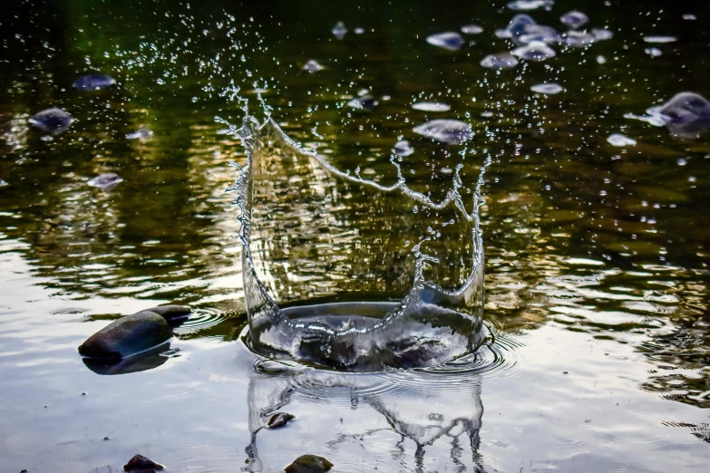 a glass filled with water sitting on top of a body of water, a picture, splashing water, in a pond