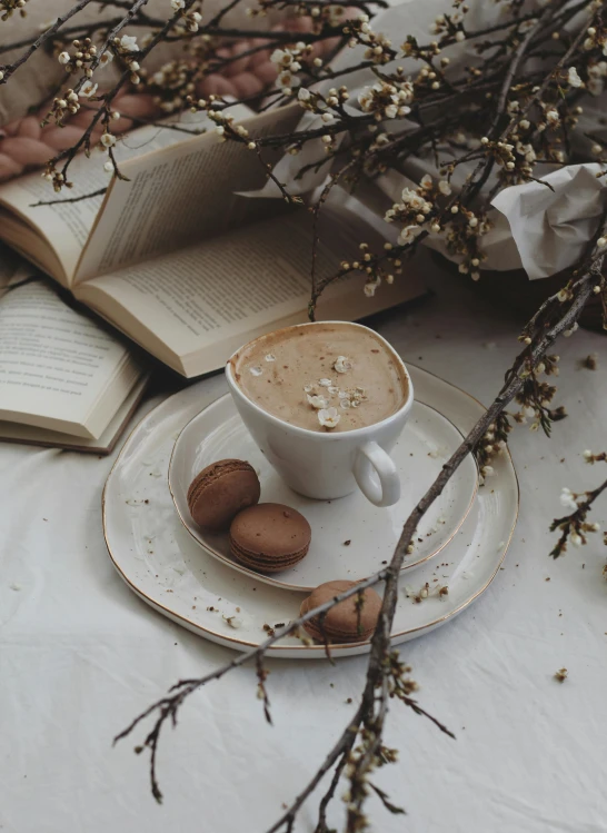 a cup of coffee and a book on a table, a still life, pexels contest winner, romanticism, brown and white color scheme, snacks, andree wallin, cappuccino
