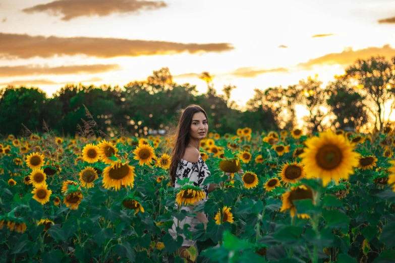 a woman standing in a field of sunflowers, by Julia Pishtar, pexels contest winner, sydney park, avatar image, handsome girl, 2019 trending photo