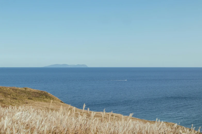 a man standing on top of a hill next to the ocean, pexels contest winner, mingei, clear blue skies, long grass in the foreground, te pae, small boat in the foreground