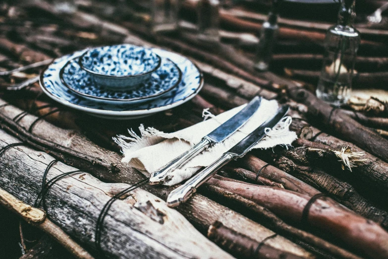 a blue and white plate sitting on top of a wooden table, unsplash, renaissance, knives, glamping, profile image