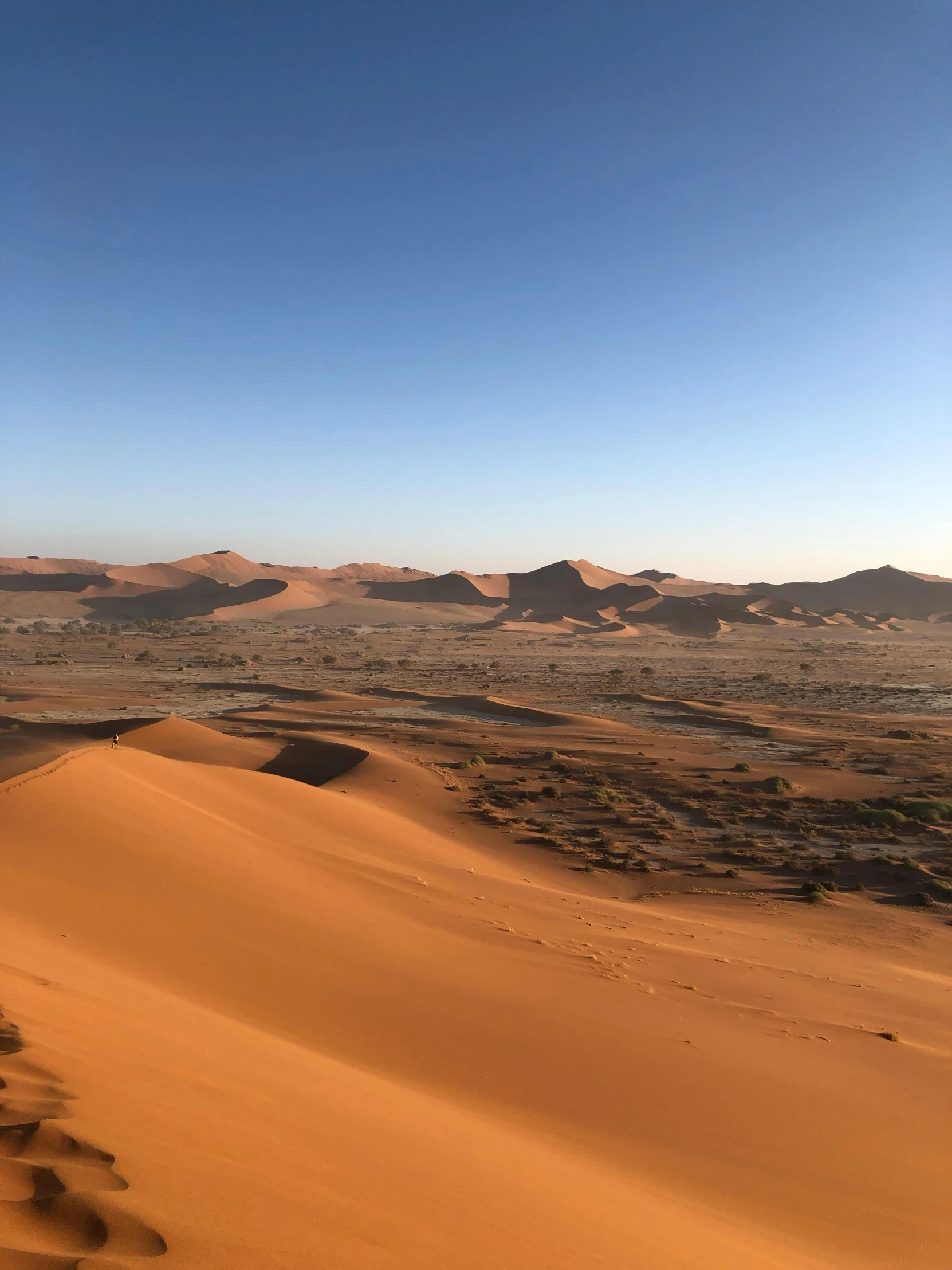 a person standing on top of a sand dune, in the middle of the desert, from the distance, photo taken in 2018, african plains