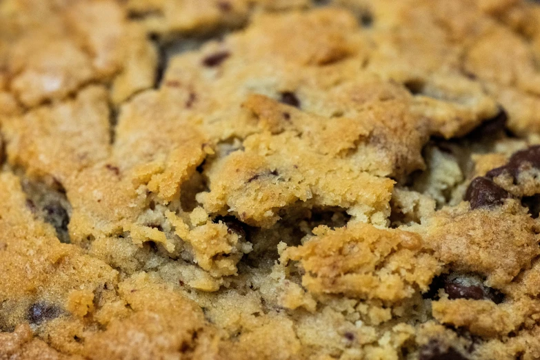 a close up of a chocolate chip cookie, renaissance, rectangle, thumbnail, foam, savory