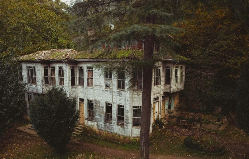 an old run down house in the woods, an album cover, inspired by Elsa Bleda, pexels contest winner, renaissance, fallout style istanbul, drone photo, 1900s photo, fan favorite