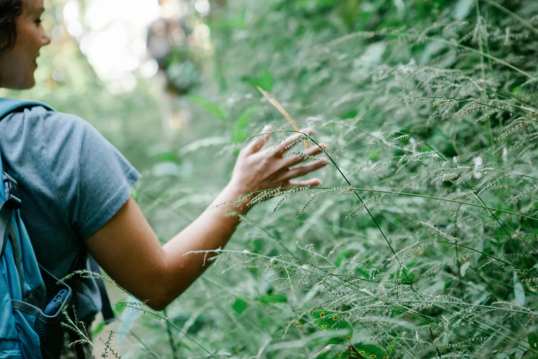 a woman walking through a lush green forest, unsplash, pulling weeds out frantically, close up of lain iwakura, permaculture, profile image