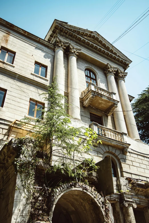 an old building with a tree growing out of it, renaissance, stalinist architecture, promo image, located in hajibektash complex, large pillars