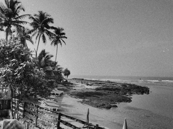 a black and white photo of a beach with palm trees, by Max Dauthendey, an atom bomb explosion in mumbai, style of castaway ( film ), ilford delta 3200, scenic view