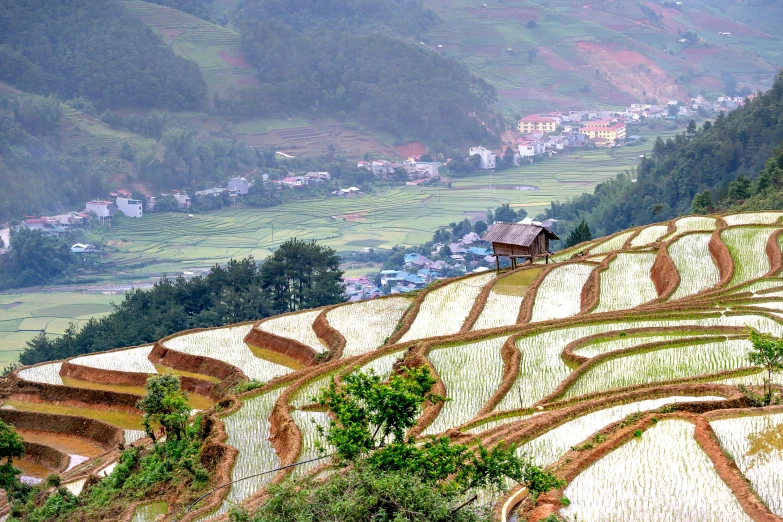 a group of people standing on top of a lush green hillside, pexels contest winner, cloisonnism, thatched houses, square, rice, youtube thumbnail