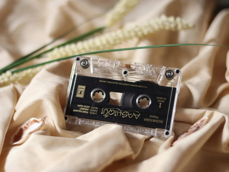 a cassette sitting on top of a bed next to a plant, by Adam Marczyński, unsplash, aestheticism, gold inlay, laces and ribbons, ivory and ebony, transparent