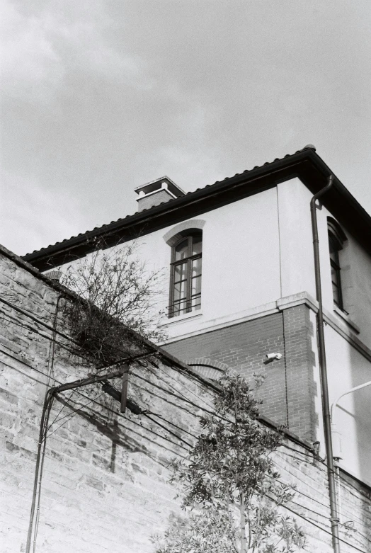 a black and white photo of a building, a black and white photo, inspired by André Kertész, unsplash, photorealism, vines on the walls, red roofs, thin wires, 1997 )