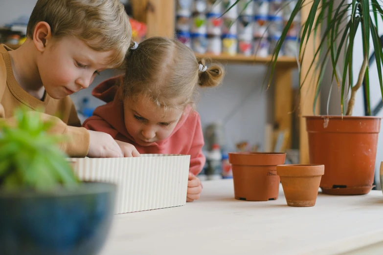 a couple of kids that are looking at a box, pexels contest winner, arts and crafts movement, pot plants, 15081959 21121991 01012000 4k, medium close shot, on a table