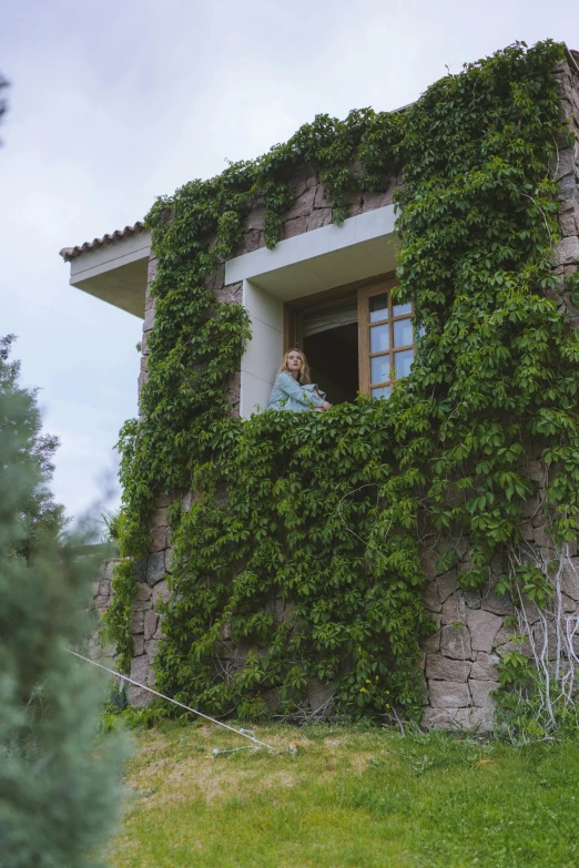 a man that is looking out of a window, covered in vines, arrendajo in avila pinewood, exterior view, dua lipa