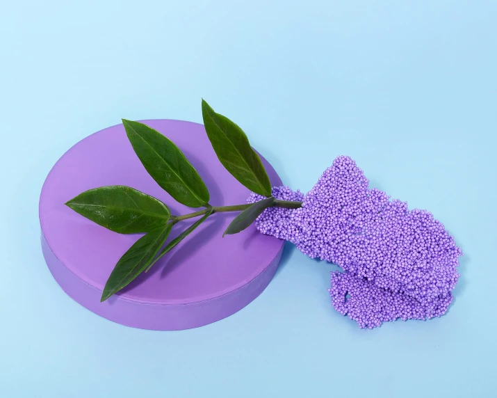 a purple object with a leaf sticking out of it, a pastel, inspired by Yves Klein, trending on pexels, plasticien, sponge, next to a plant, detailed product photo, made of high tech materials