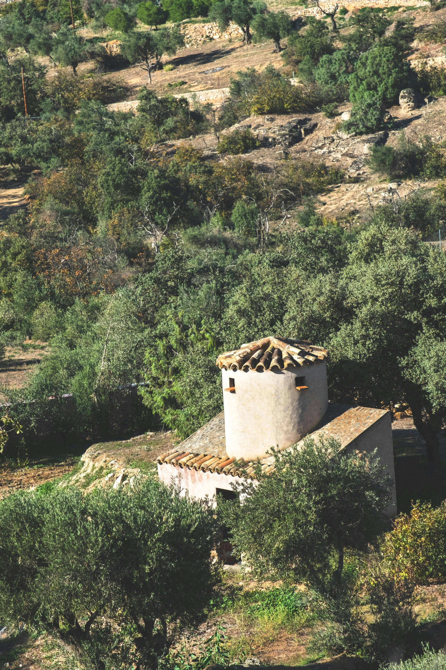 a house sitting on top of a hill surrounded by trees, by Carlo Carrà, unsplash, renaissance, 2 5 6 x 2 5 6 pixels, watertank, traditional corsican, color image