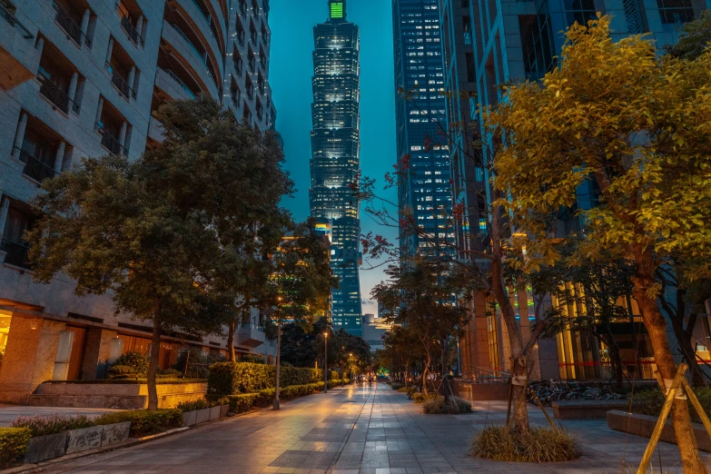 a city street lined with tall buildings at night, inspired by Cheng Jiasui, pexels contest winner, green square, city morning, elegant walkways between towers, street of teal stone