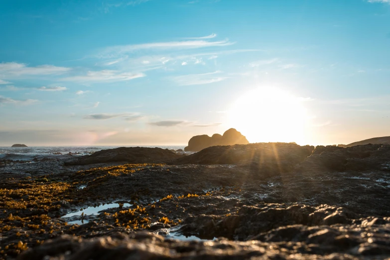 a person riding a surfboard on top of a rocky beach, unsplash, golden hour photo, rock pools, barnacle, looking onto the horizon