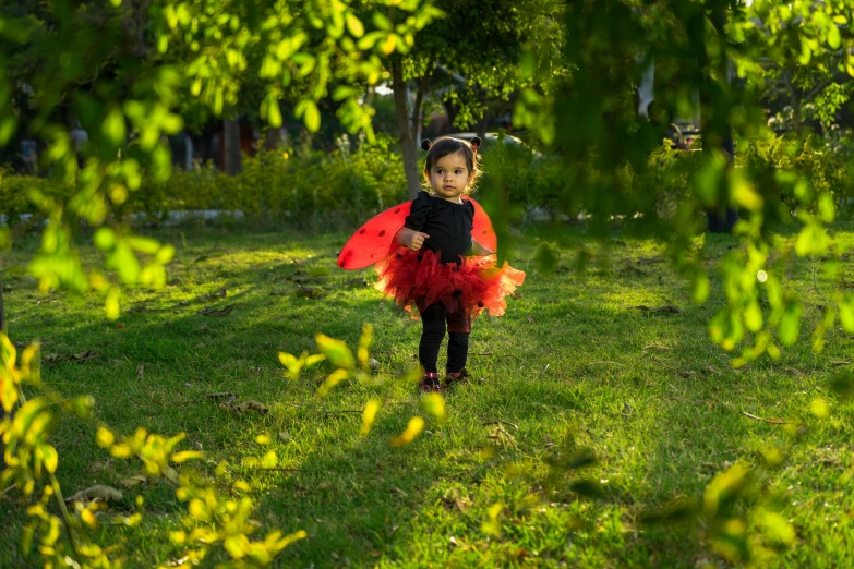 a little girl dressed in a lady bug costume, by Julia Pishtar, pexels, visual art, green spaces, wearing a tutu, avatar image, wearing black clothes and cape