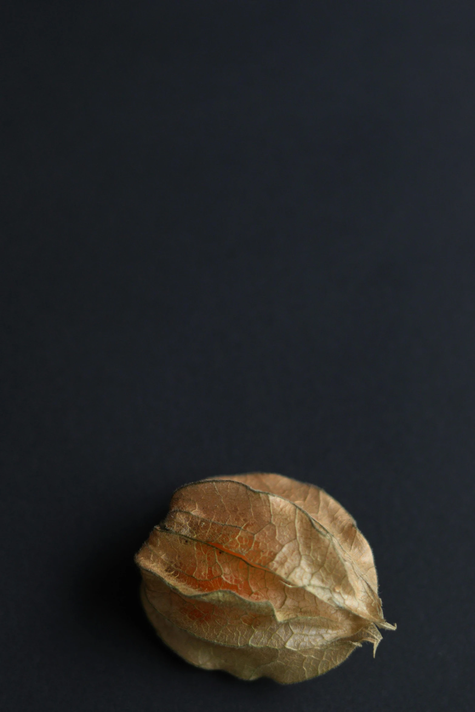a close up of a fruit on a black surface, by Ruth Collet, conceptual art, lump of native gold, made of leaves, portrait n - 9, red ocher