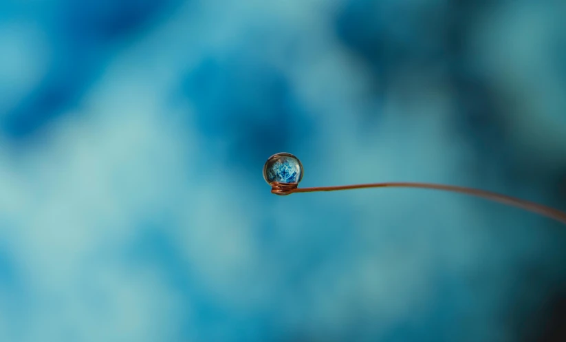 a close up of a water drop on a twig, unsplash, conceptual art, blue marble, cosmic energy wires, tiny spaceship, f2.8 50mm