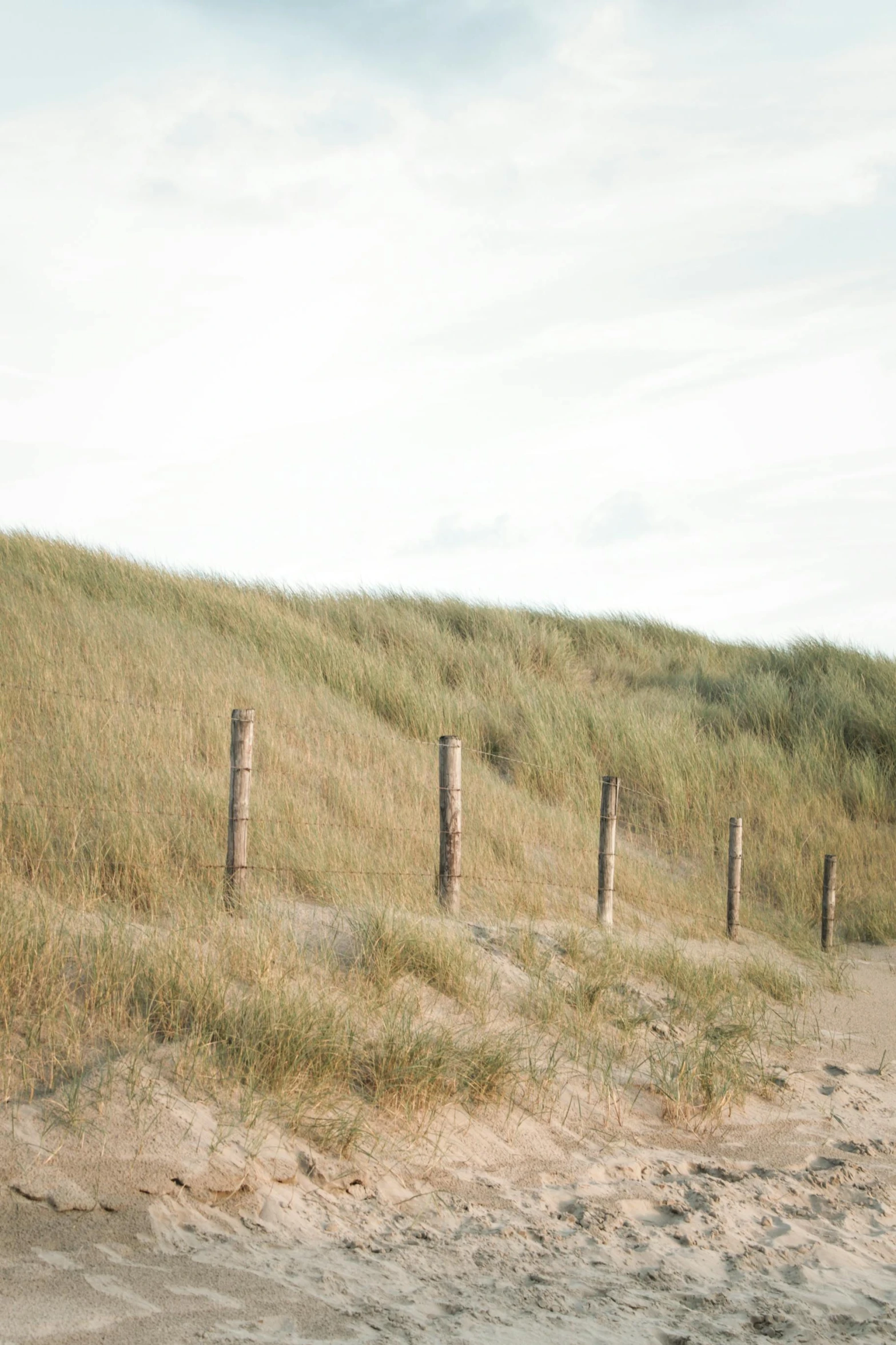 a man riding a motorcycle down a dirt road, a picture, by Jan Tengnagel, unsplash, land art, windy beach, small fence, an overgrown, ignant