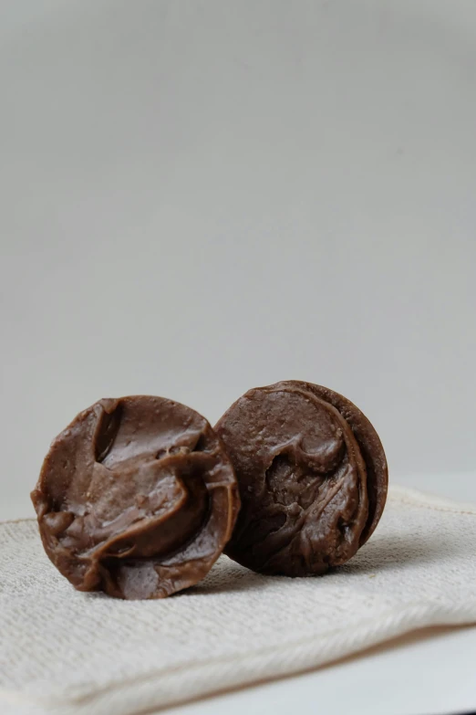 two pieces of chocolate sitting on top of a napkin, by Jessie Algie, soft round features, brown mud, gooey skin, 1.4