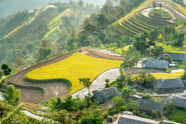 a group of houses sitting on top of a lush green hillside, pexels contest winner, vietnam war, crop circles, vast lush valley flowers, early morning light