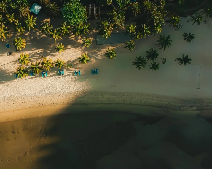 an aerial view of a beach with palm trees, a screenshot, pexels contest winner, golden hour in boracay, laying on sand, contrast of light and shadows, thumbnail