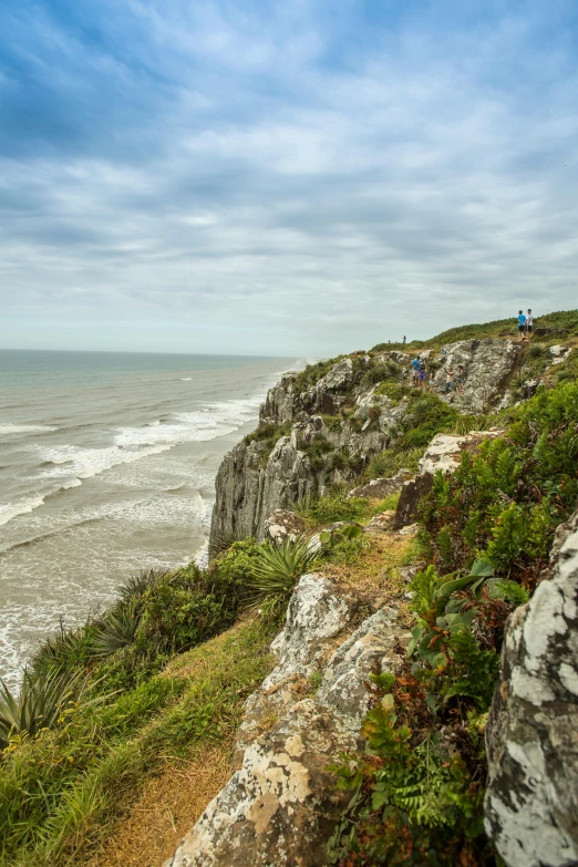 a man standing on top of a cliff next to the ocean, golden bay new zealand, lots of vegetation, chalk cliffs above, slide show