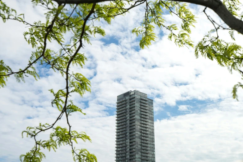 a tall building sitting on top of a lush green field, inspired by Richard Wilson, unsplash, with branches reaching the sky, from street level, regeneration, canopee